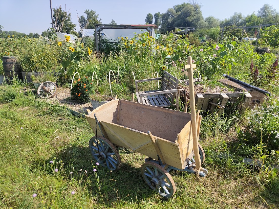 Unser Garten – Blumen & Dekoration
